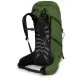 Рюкзак туристический Osprey Talon 36 green belt/black L/XL (009.3577)