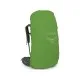 Рюкзак туристический Osprey Kestrel 68 bonsai green S/M (009.3303)