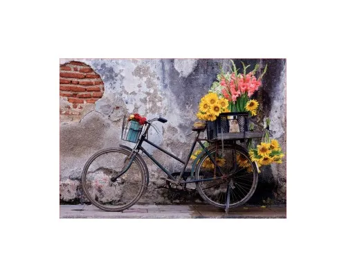Пазл Educa Велосипед і квіти 500 елементів (6336906)