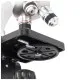 Мікроскоп Sigeta MB-120 40x-1000x LED Mono (65233)