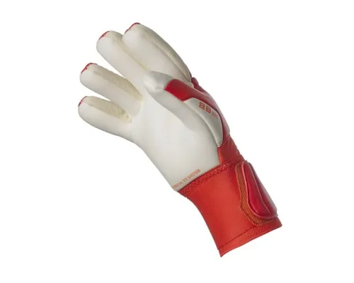 Вратарские перчатки Select Goalkeeper Gloves 88 Kids v23 602863-694 червоний, білий Діт 6 (5703543316694)