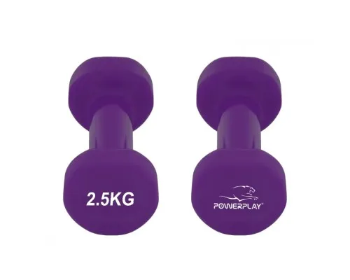Гантель PowerPlay вінілові 4125 Achilles 2 х 2.5 кг Фіолетові (PP_4125_2.5kg_2in)