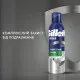 Пена для бритья Gillette Series Для чувствительной кожи с алоэ вера 200 мл (8001090870926)