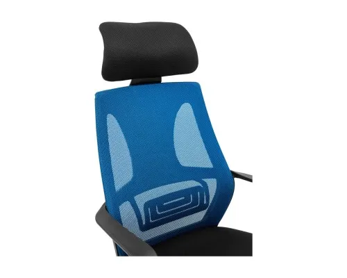 Офісне крісло Richman Профі Пластик Піастра Сітка чорна + синя (ADD0003190)