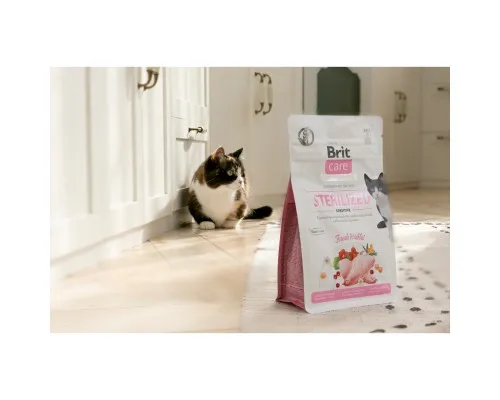 Сухий корм для кішок Brit Care Cat GF Sterilized Sensitive 400 г (8595602540778)