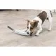 Іграшка для собак Trixie Паличка для ласощів 20 см/31 см (4011905334134)