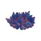 Декорація в акваріум Deming Glowing Корал-актинія пухирчаста набір 5 штук (кольори в асортименті) (2700000013786)