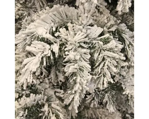 Різдвяний вінок Black Box Trees Dinsmore Frosted 45 см (8718861289022)