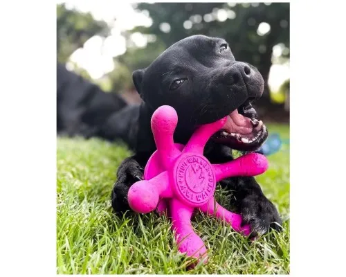 Игрушка для собак Kiwi Walker Осьминог 13 см розовая (8596075002794)
