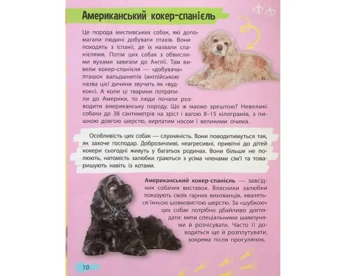 Книга Мініенциклопедія. Хатні улюбленці Vivat (9789669827241)