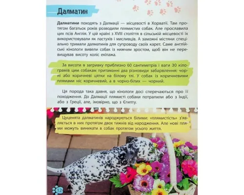 Книга Мініенциклопедія. Хатні улюбленці Vivat (9789669827241)