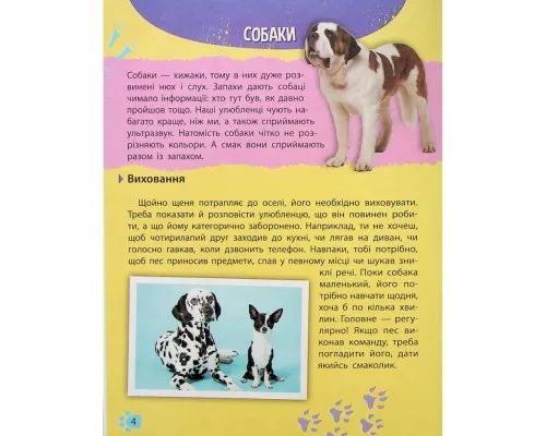 Книга Мініенциклопедія. Хатні улюбленці Vivat (9789669827241)