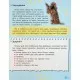 Книга Мініенциклопедія. Хатні улюбленці Vivat (9789669827241)