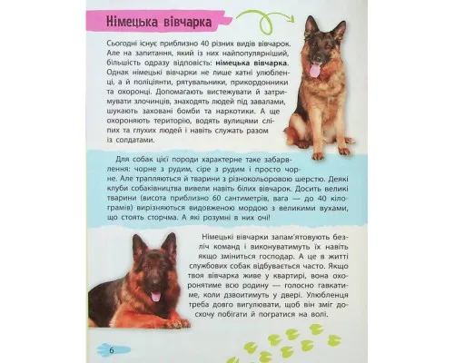 Книга Мініенциклопедія. Хатні улюбленці Vivat (9789669827241)