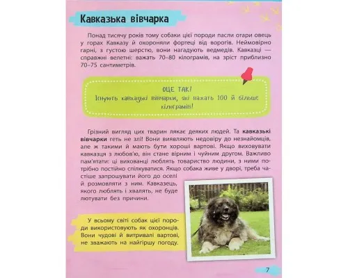 Книга Мініенциклопедія. Хатні улюбленці Vivat (9789669827241)