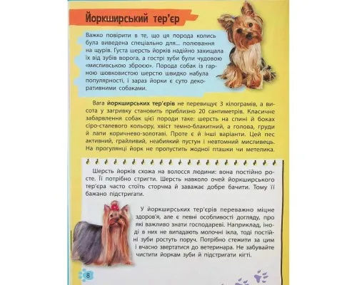 Книга Мініенциклопедія. Хатні улюбленці Vivat (9789669827241)