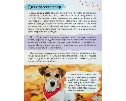 Книга Мініенциклопедія. Хатні улюбленці Vivat (9789669827241)