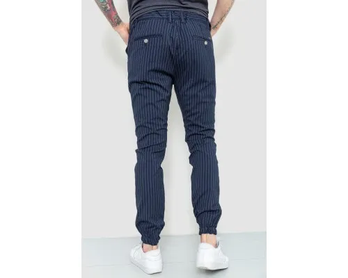 Чоловічі штани в смужку, колір синій, 157R2003