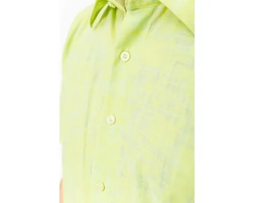 Сорочка чоловіча однотонна, колір салатовий, 131R151016