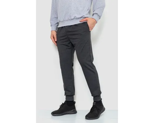 Спорт штани чоловічі двонитка, колір темно-сірий, 241R8005