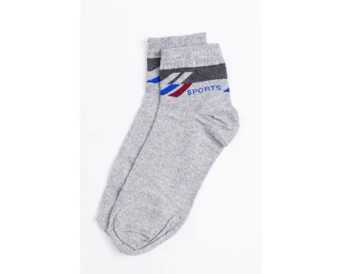 Шкарпетки чоловічі, колір світло-сірий, 131R535