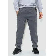 Спорт чоловічі штани на флісі, колір сірий, 244R41153