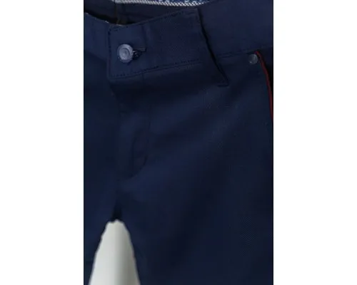 Штани чоловічі класичні, колір темно-синій, 226R5235