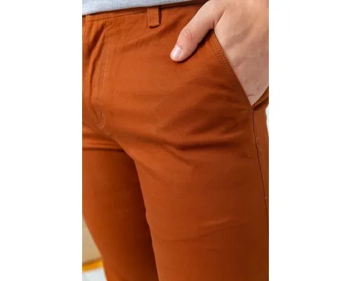 Штани чоловічі класичні, колір коричневий, 243R1010