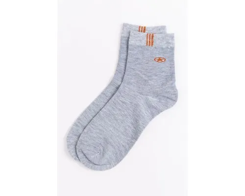 Шкарпетки чоловічі, колір світло-сірий, 131R21-2-04