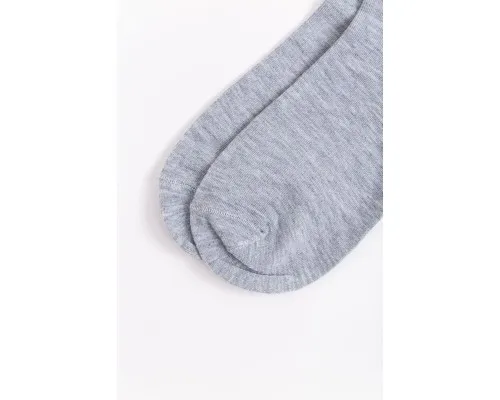 Шкарпетки чоловічі, колір світло-сірий, 131R21-2-04