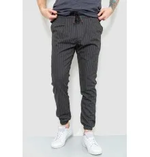 Чоловічі штани в смужку, колір сірий, 157R2010