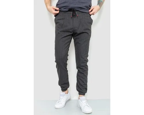 Чоловічі штани в смужку, колір сірий, 157R2010