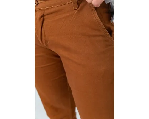 Штани чоловічі класичні, колір коричневий, 243R2015