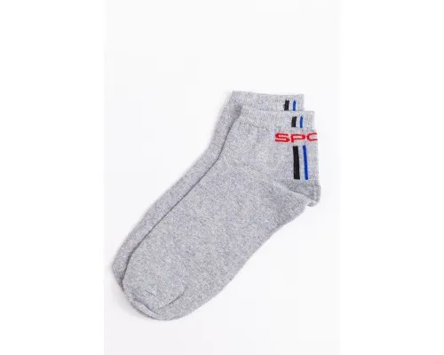 Шкарпетки чоловічі, колір світло-сірий, 131R530