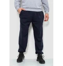 Спорт чоловічі штани на флісі, колір темно-синій, 244R4868