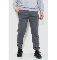 Спорт чоловічі штани на флісі, колір сірий, 244R4188