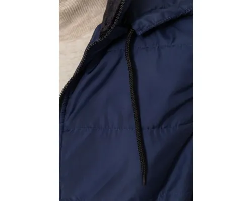 Жилетка чоловіча з капюшоном, колір темно-синій, 102R340-2