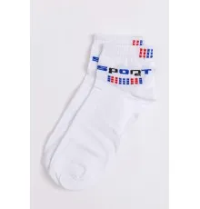 Шкарпетки чоловічі, колір білий, 131R541