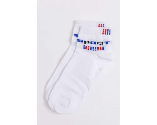 Шкарпетки чоловічі, колір білий, 131R541