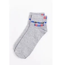 Шкарпетки чоловічі, колір сірий, 131R541